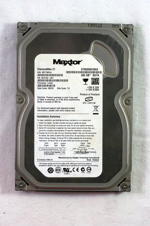 Maxtor DiamondMax 21 250GB 